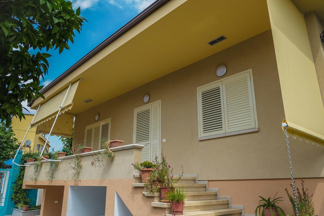 Ariadnes Apartments ティラナ エクステリア 写真